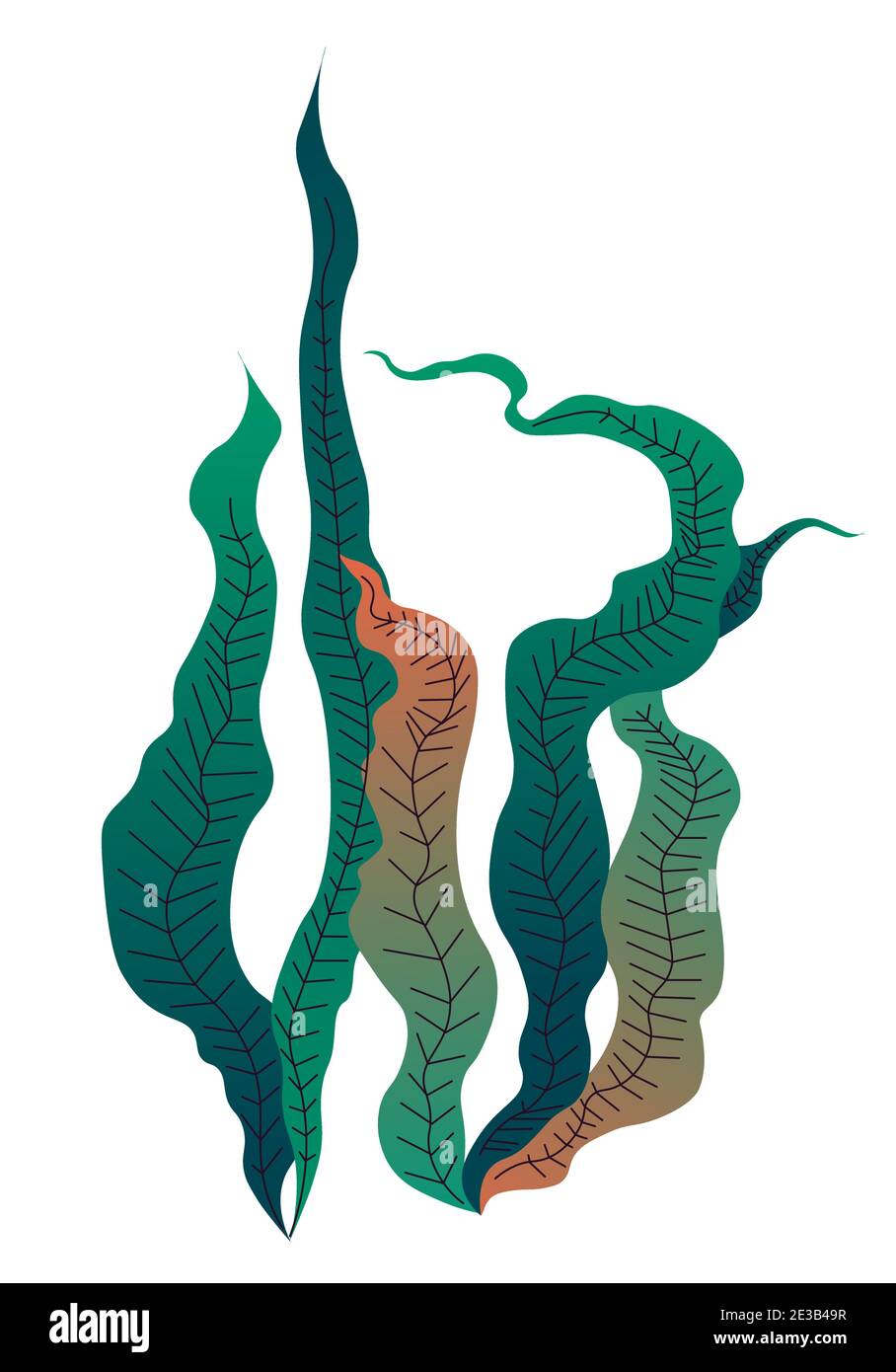 Algues décoratives et plantes pour aquarium vecteur Illustration de Vecteur