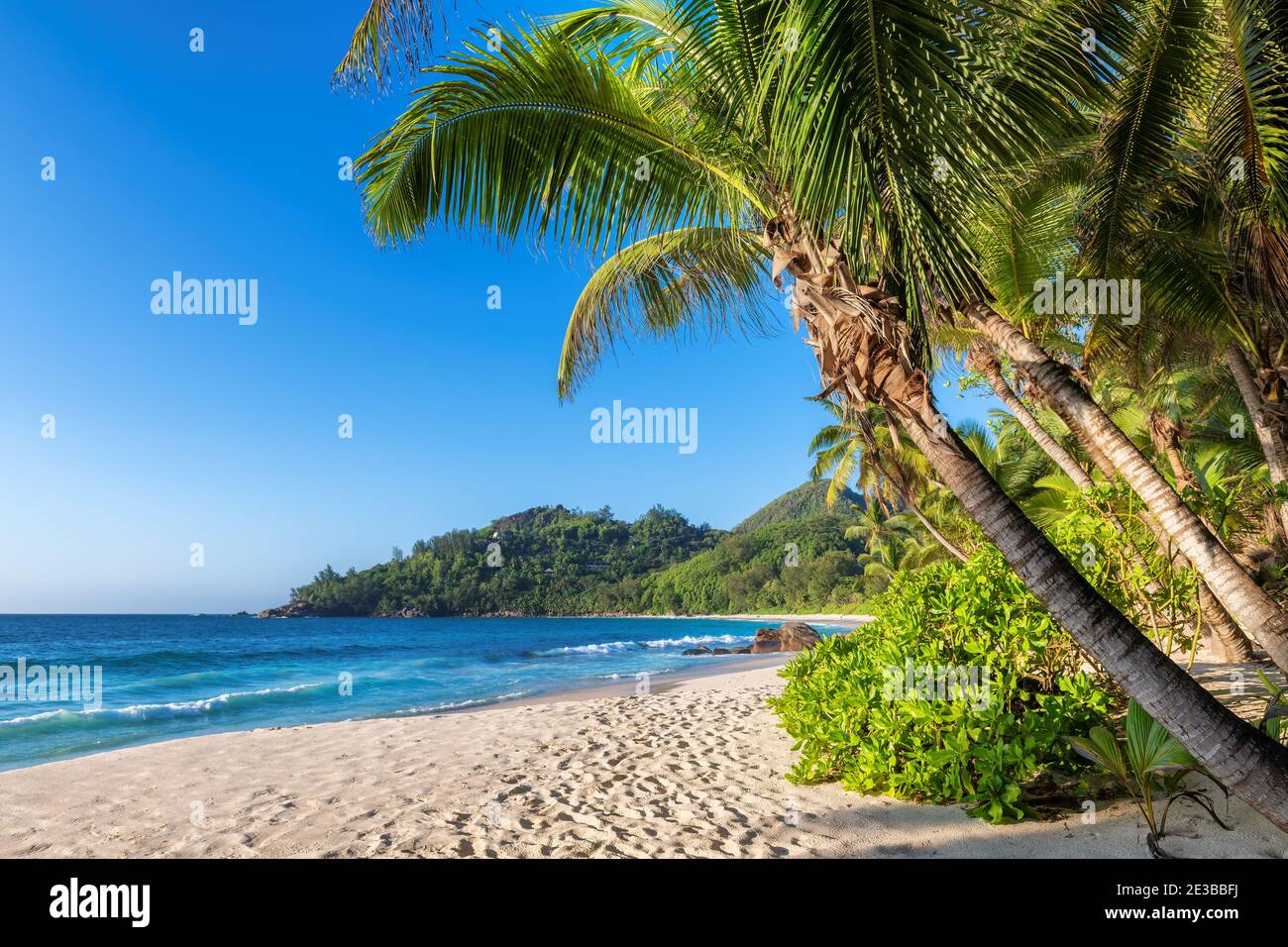 Plage de sable blanc ensoleillée avec palmiers à noix de coco et mer turquoise au coucher du soleil. Banque D'Images