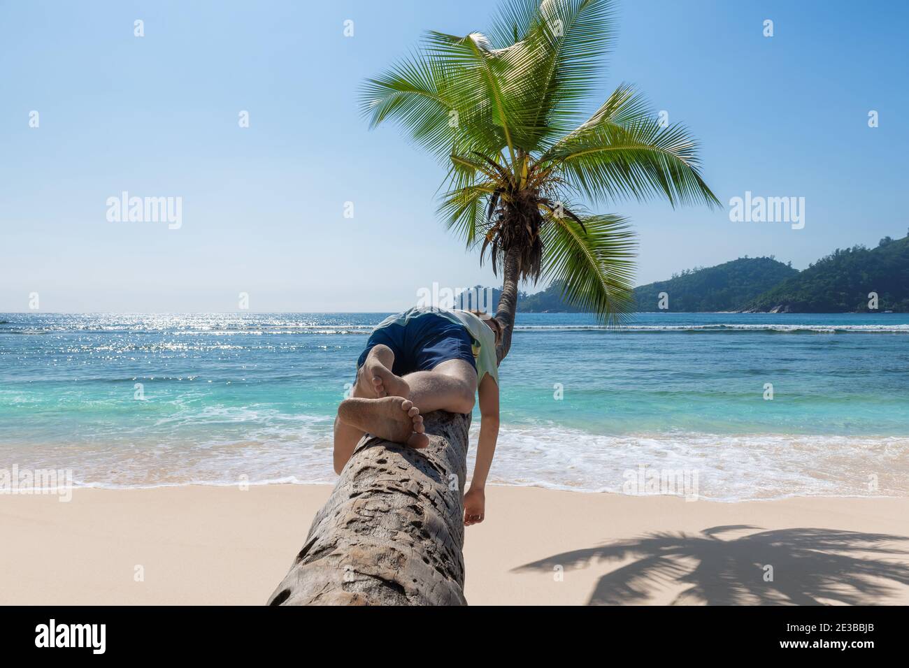 Un jeune homme qui se détend sur un coco Palm au-dessus de la plage de Paradise. Banque D'Images