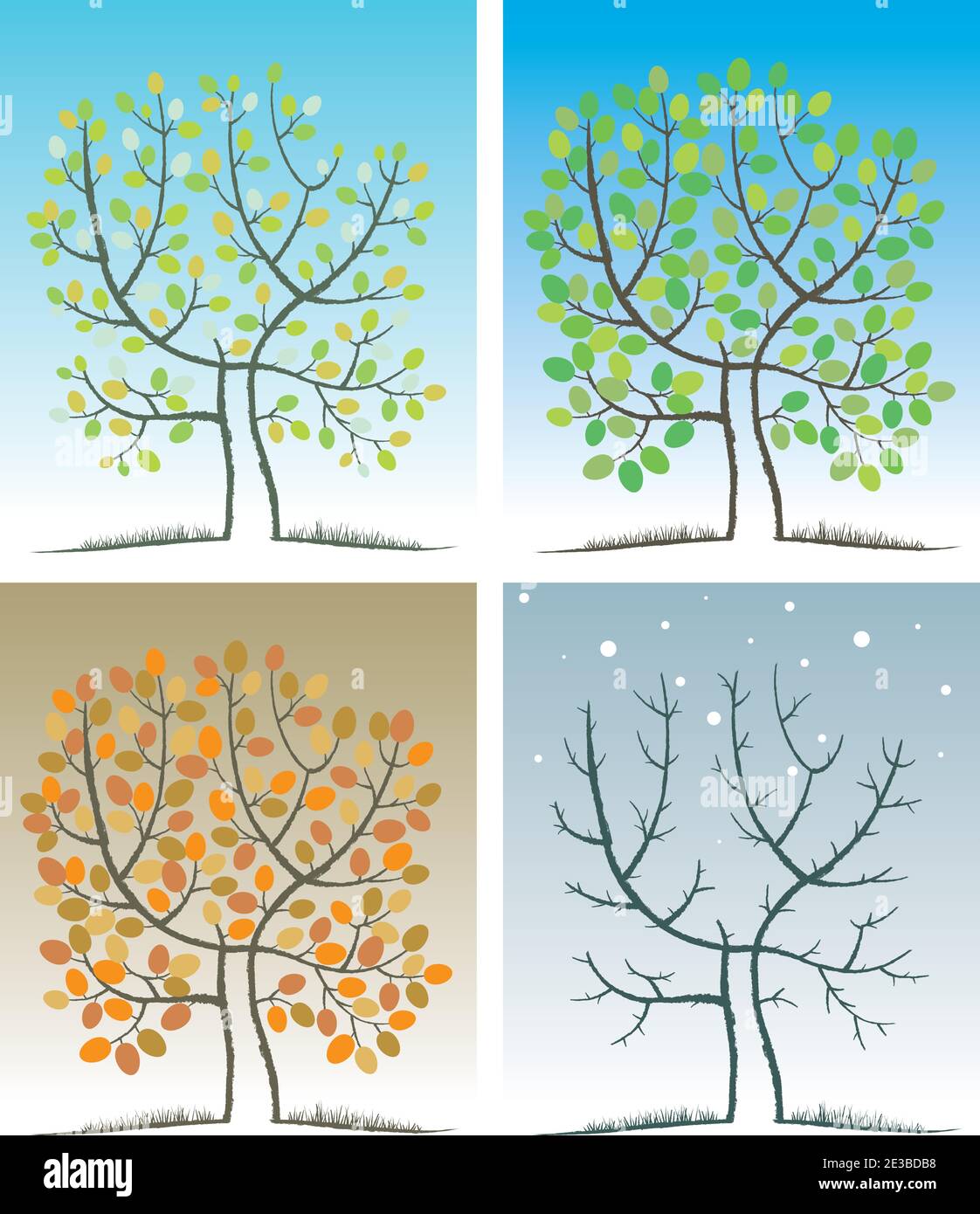 Printemps, été, automne, hiver. Illustration d'un arbre au cours d'une année. Une métaphore de l'écoulement du temps. Illustration de Vecteur