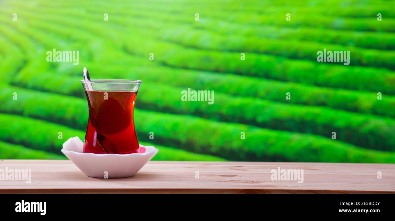 Thé turc sur la table, champ de thé et lumière du soleil en arrière-plan Banque D'Images