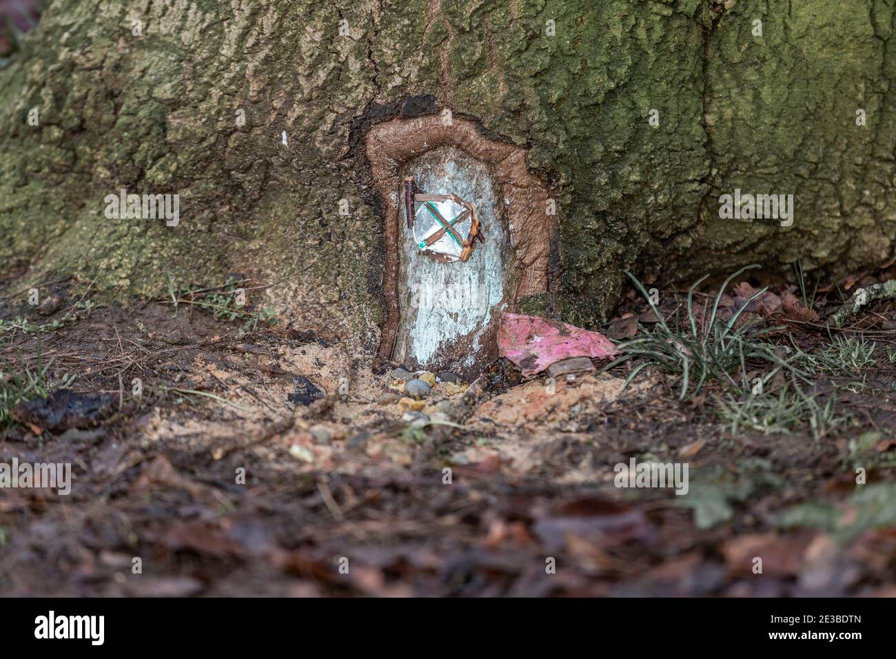 Northampton, Royaume-Uni, 18 janvier 2021. Une porte de fantaisie à la base d'un grand arbre à Abington Park, créateur unKnow. Crédit : Keith J Smith./Alamy Live News Banque D'Images