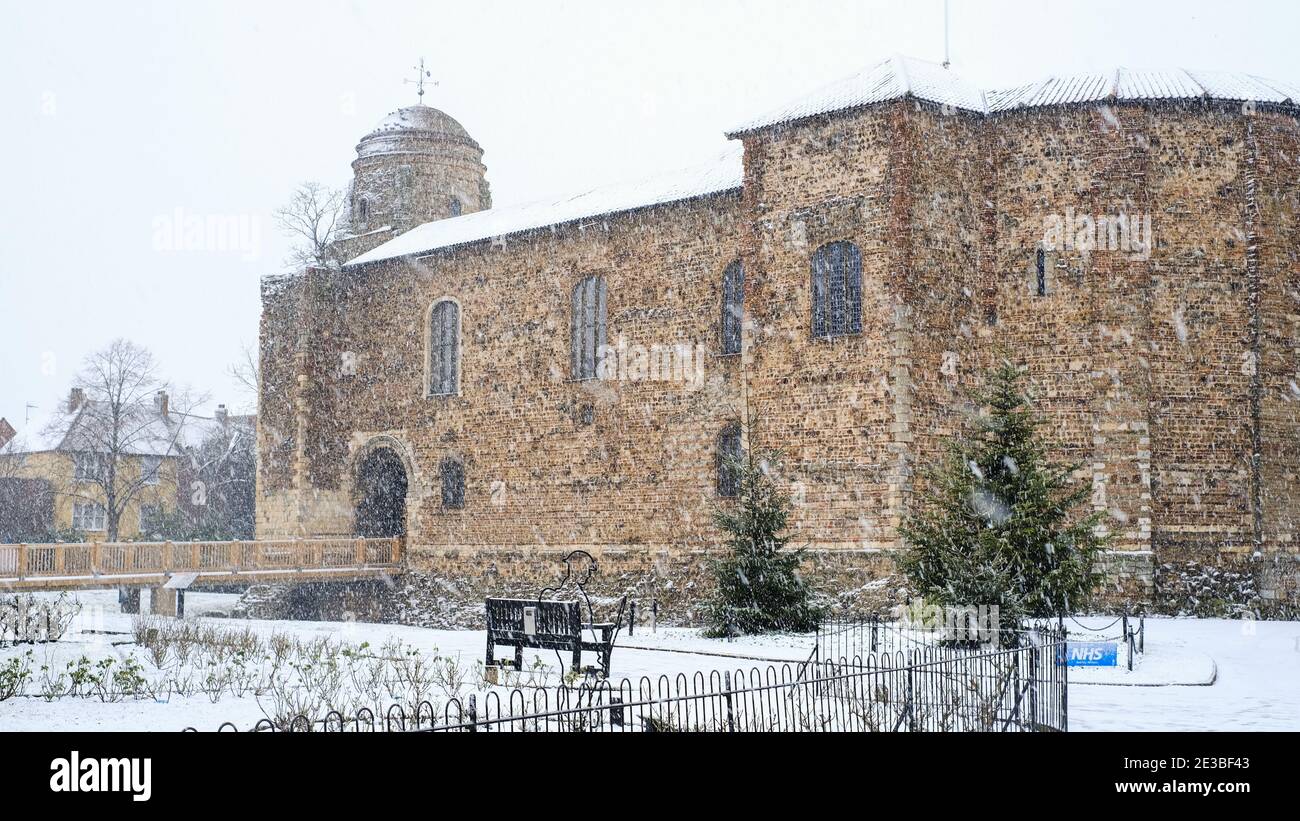Le parc du château de Colchester dans la neige, avec des arbres de Noël devant et un panneau indiquant NHS. Banque D'Images