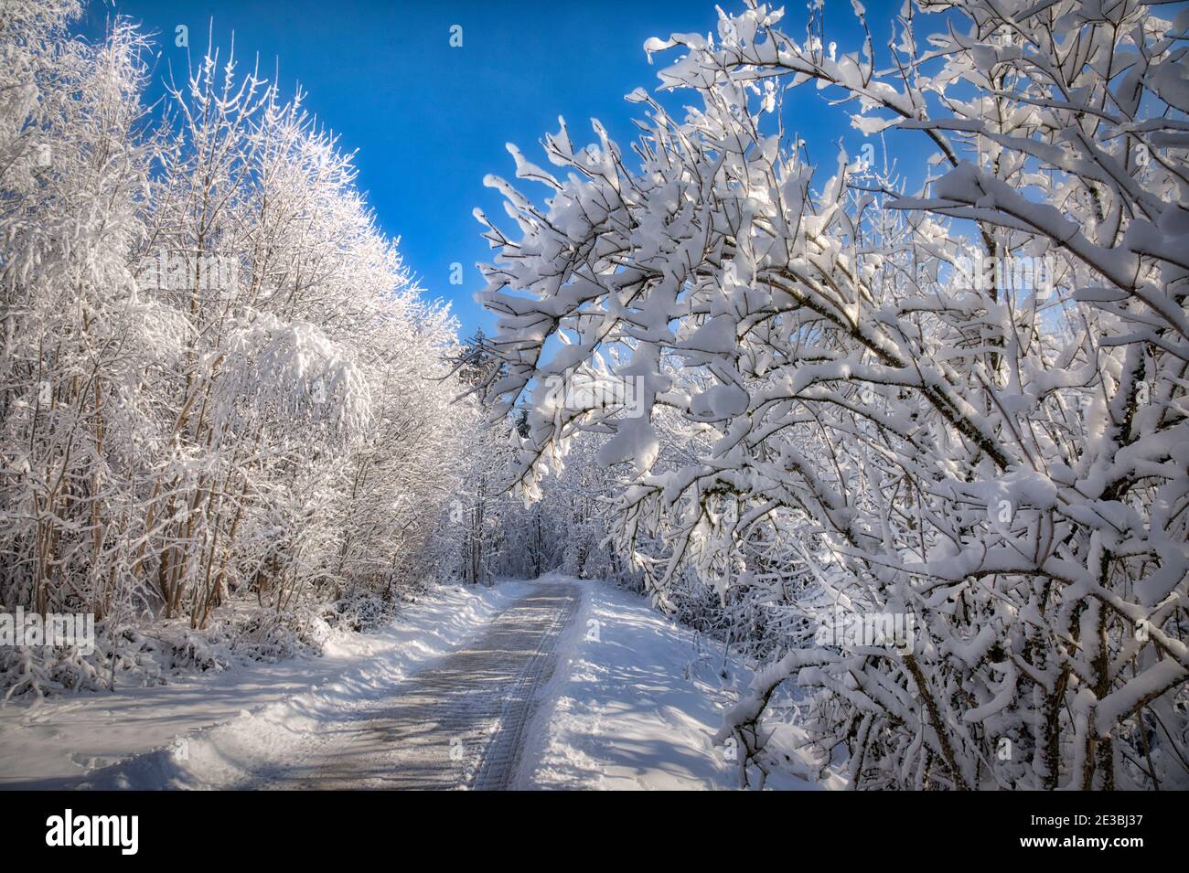 DE - BAVIÈRE: Scène d'hiver à Buchberg près de Bad Toelz (HDR-image) Banque D'Images