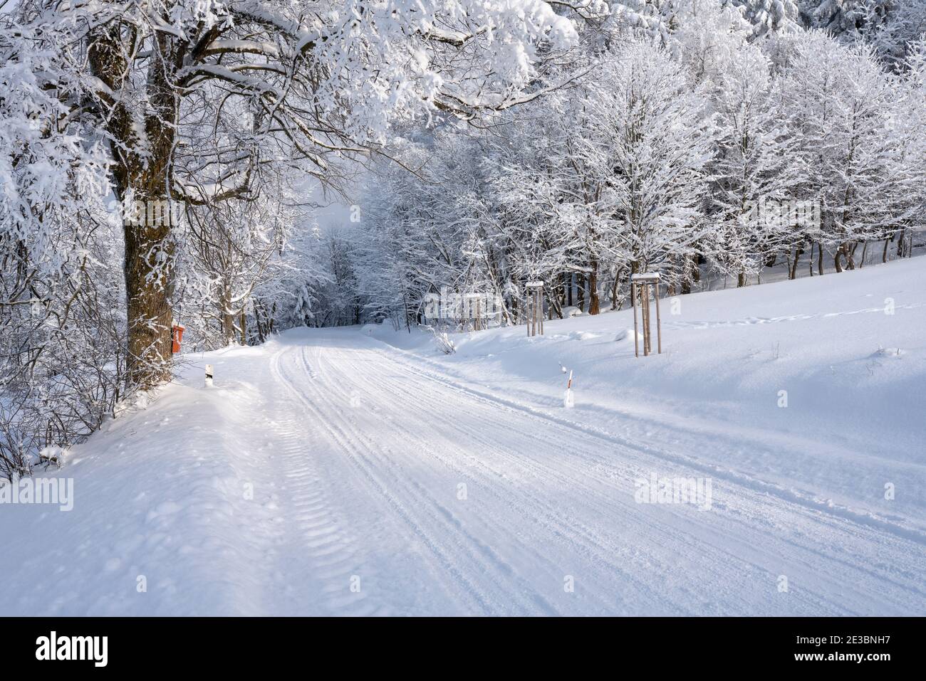 Route de campagne enneigée dans les montagnes Orlické Hory, en République tchèque, en bordure d'une forêt. Les chenilles des pneus de voiture sont visibles sur le sol enneigé. Banque D'Images