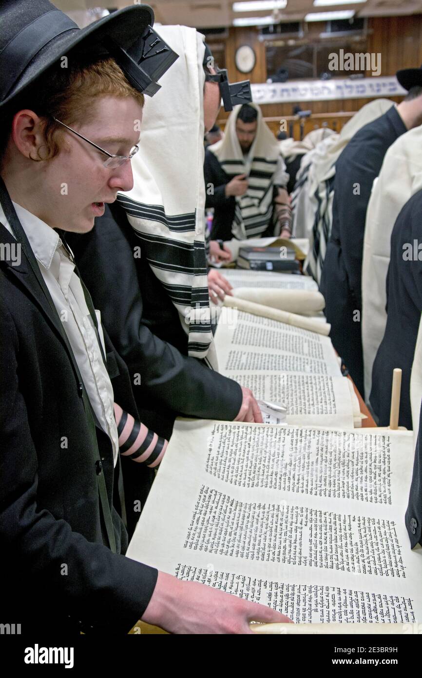 Des hommes de divers âges ont lu des megillahs sur le Purim de vacances juives. Dans une synagogue de Crown Heights, Brooklyn, New York Banque D'Images