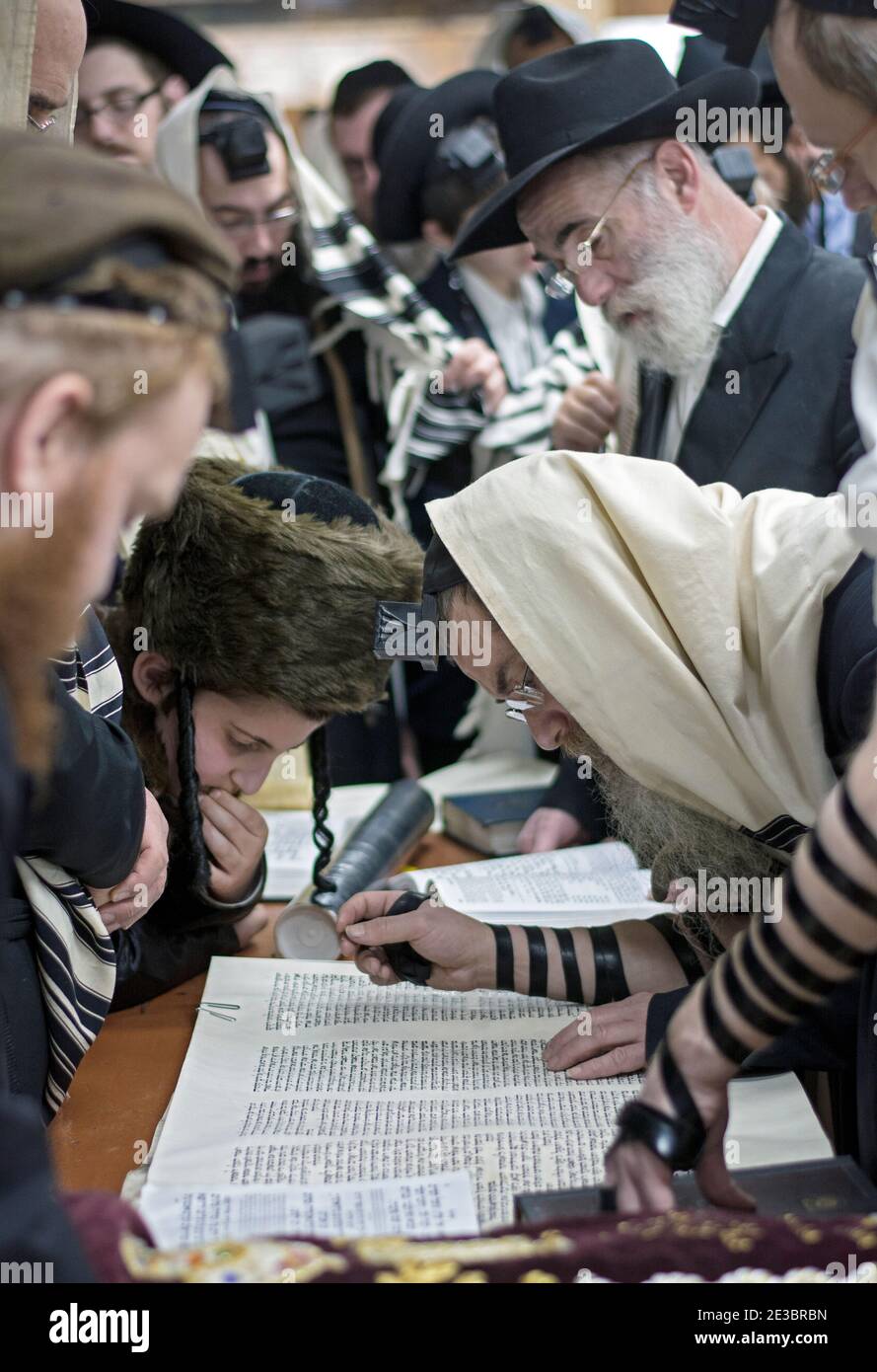 Des hommes de divers âges ont lu des megillahs sur le Purim de vacances juives. Dans une synagogue de Crown Heights, Brooklyn, New York Banque D'Images