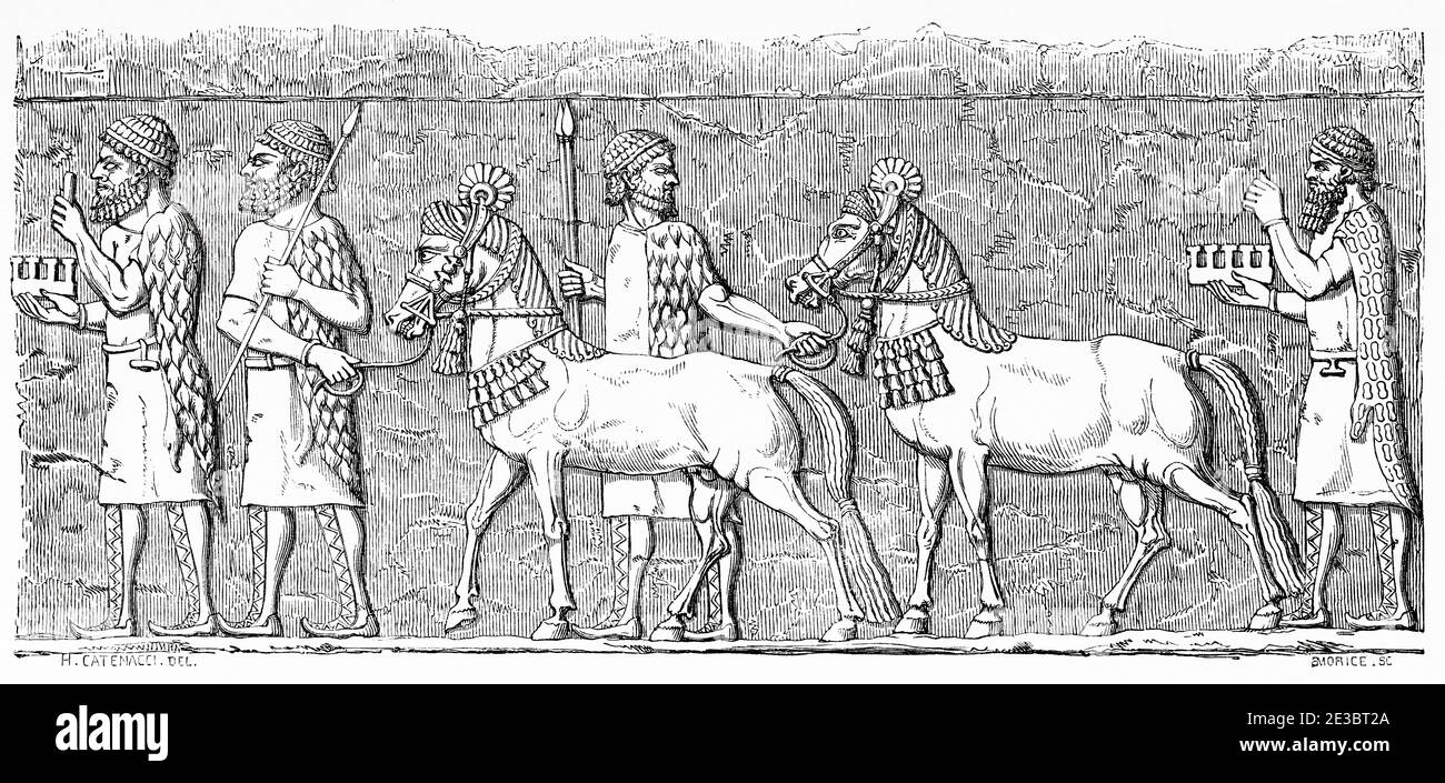 Bas-relief Assyrien du palais de Sardanapalus, chevaux dans un cortège. Illustration gravée du XIXe siècle, le Tour du monde 1863 Banque D'Images