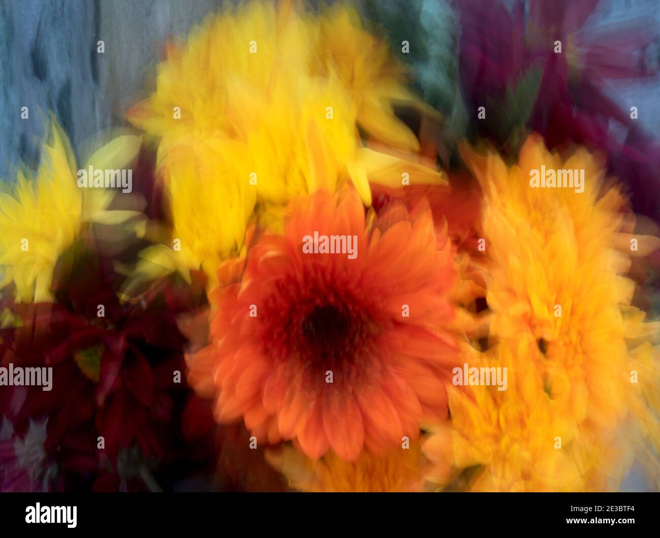 Photographie florale impressionniste - fleurs. Plusieurs images ont fusionné pour obtenir un effet artistique flou. Banque D'Images
