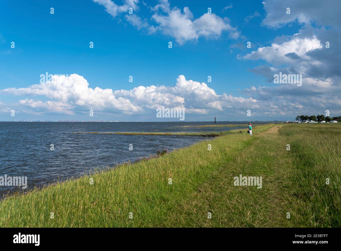 Paysage à l'embouchure du Weser, en arrière-plan le terminal de conteneurs de Bremerhaven, Fedderwardersiel, Basse-Saxe, Allemagne, Europe Banque D'Images