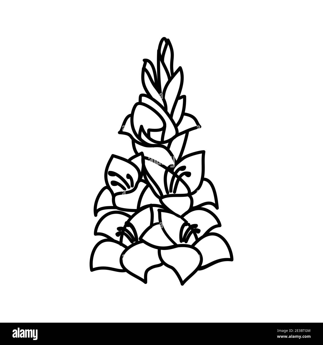 Gladiolus Floral dessiné à la main. Logo Vector Design Illustration. Illustration de Vecteur