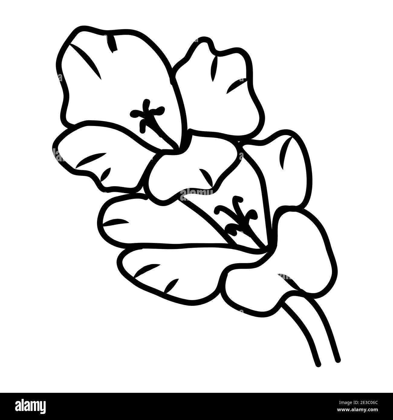 Gladiolus Flower Floral dessiné à la main. Logo Vector Design Illustration. Illustration de Vecteur