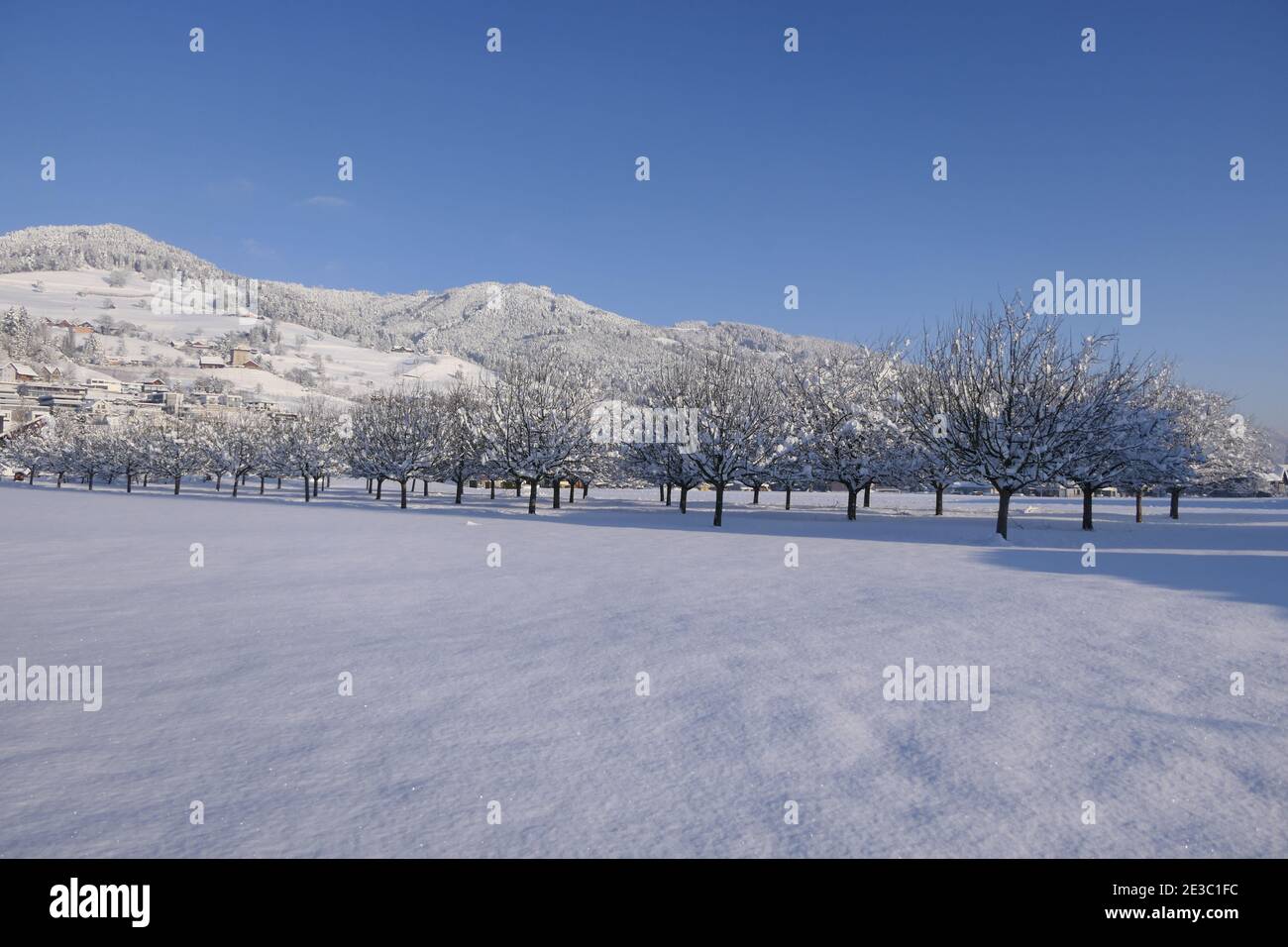 Magnifique neige fraîche et paysage d'hiver au pied de une gamme de collines Banque D'Images