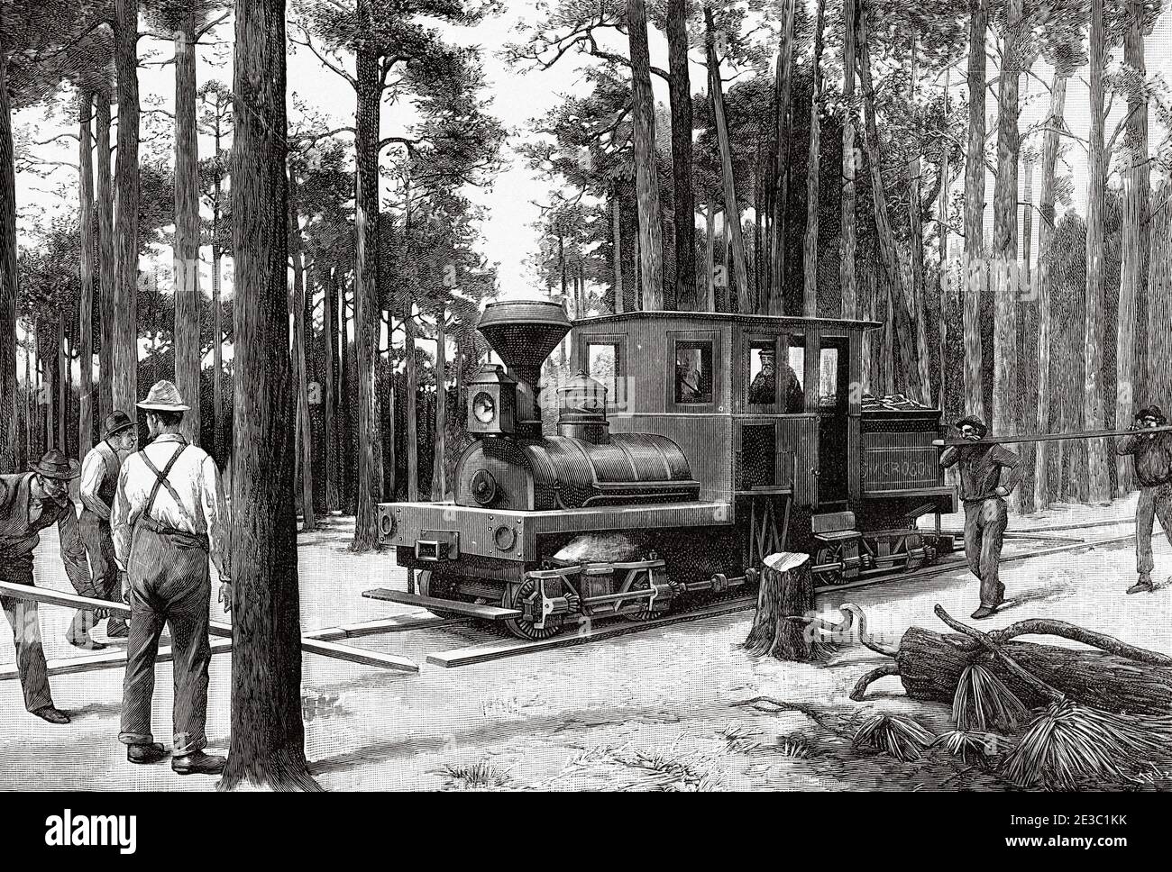 Construction d'une autoroute en bois pour le passage des trains en Floride, États-Unis. De la Ilustracion Española y Americana 1895 Banque D'Images