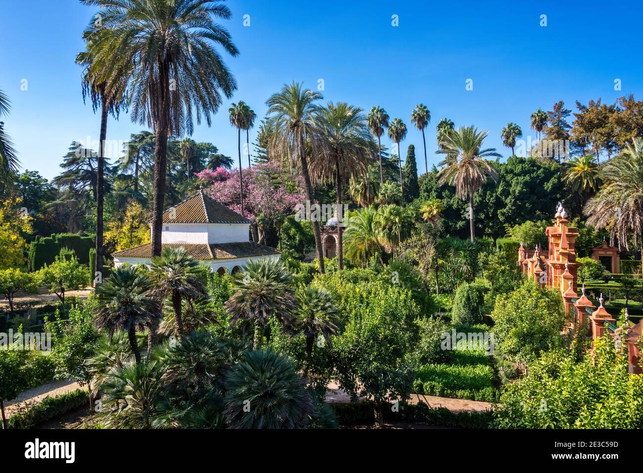 Les jardins de l'Alcazar de Séville, Andalousie, Espagne. Banque D'Images