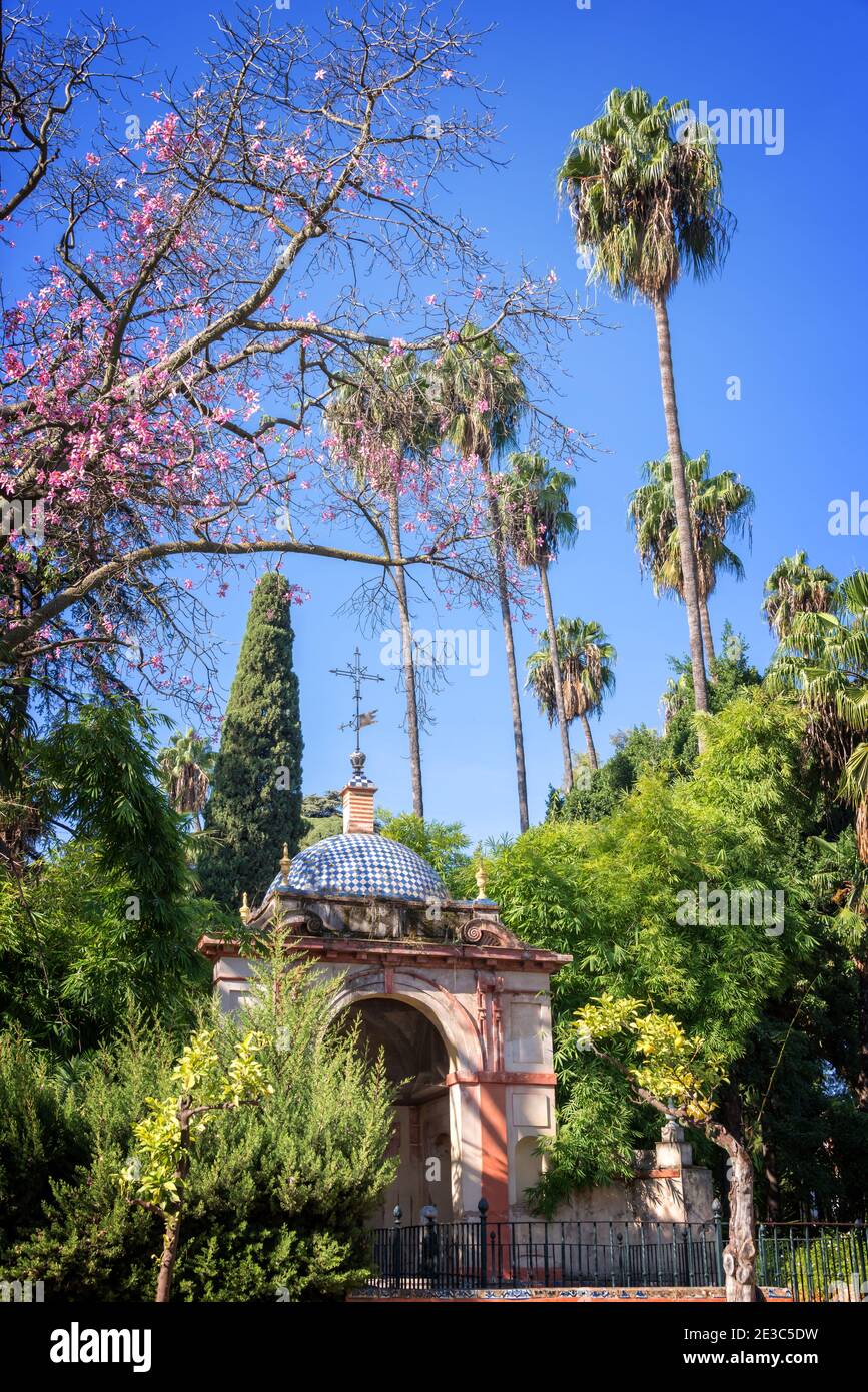 Les jardins de l'Alcazar de Séville, Andalousie, Espagne. Banque D'Images