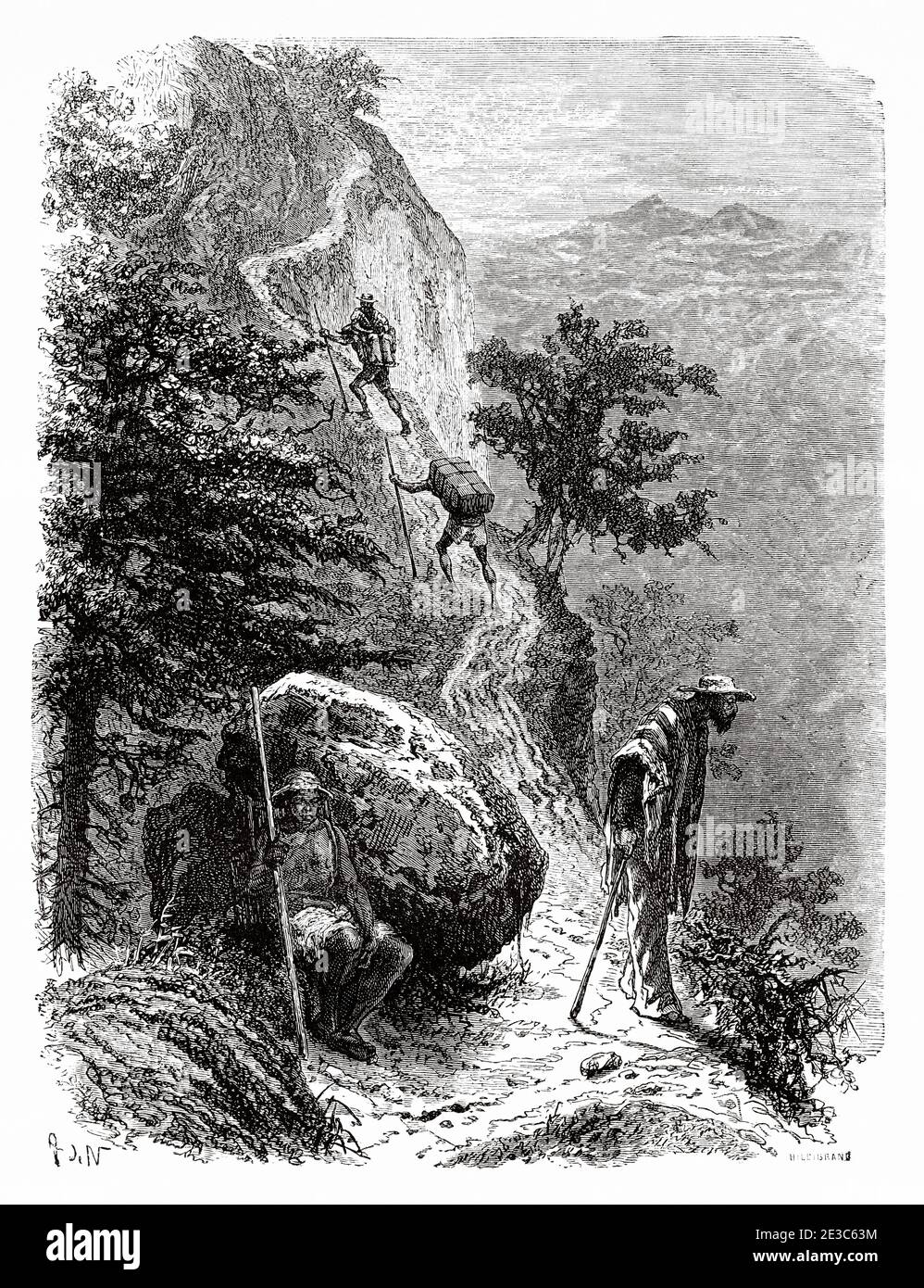 Chemin sur la montagne Quindio, Colombie. Ancienne illustration gravée du XIXe siècle. Rendez-vous à New Granada par Charles Saffray depuis El Mundo en la Mano 1879 Banque D'Images