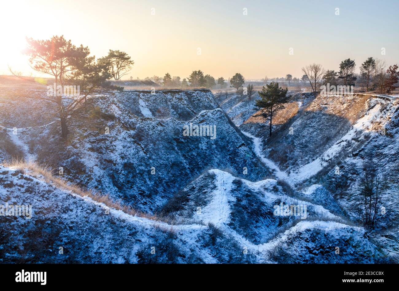 Ravin profond avec pins et pistes enneigées. Paysage d'hiver à la campagne Banque D'Images