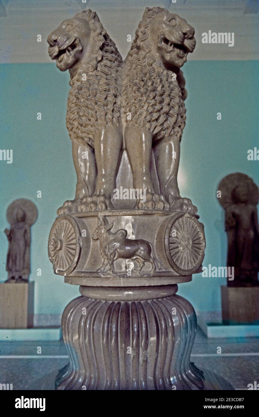Sarnath Inde Ashoka capitale montrant les Lions au Musée Benares 2e Century BC monolithique Uttar Pradesh Inde Banque D'Images
