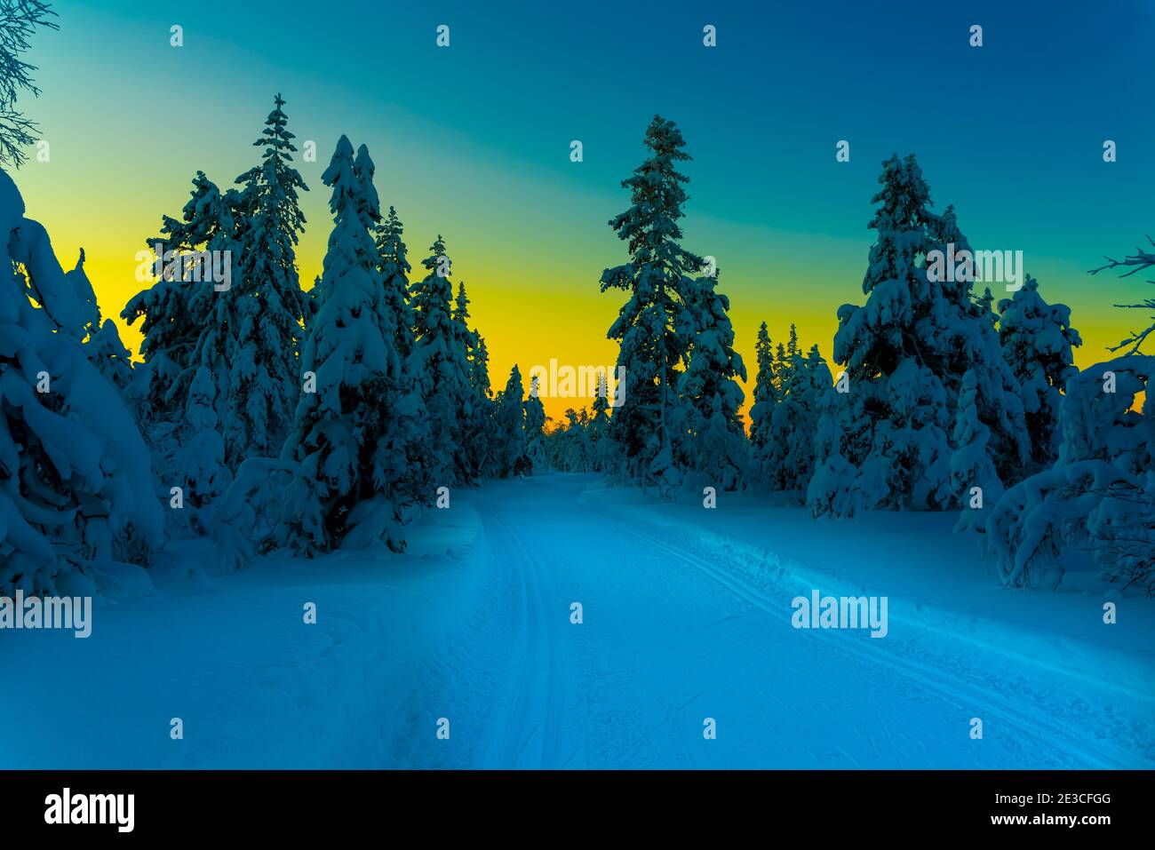 Piste de ski de fond traversant une forêt enneigée au crépuscule. Banque D'Images