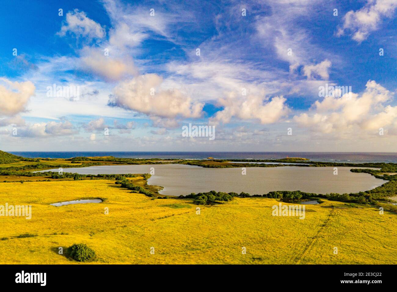 L'étang des Salines est situé dans le sud de la Martinique et est un site Ramsar depuis le 15 septembre 2008. Banque D'Images