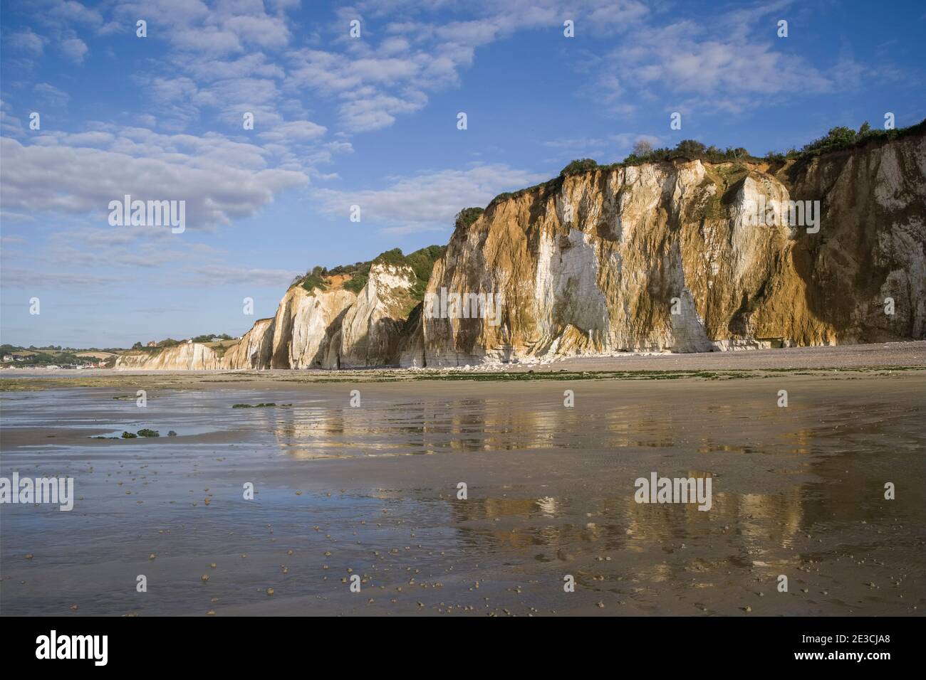 Varengeville-sur-Mer (nord de la France) : falaises à marée basse sur