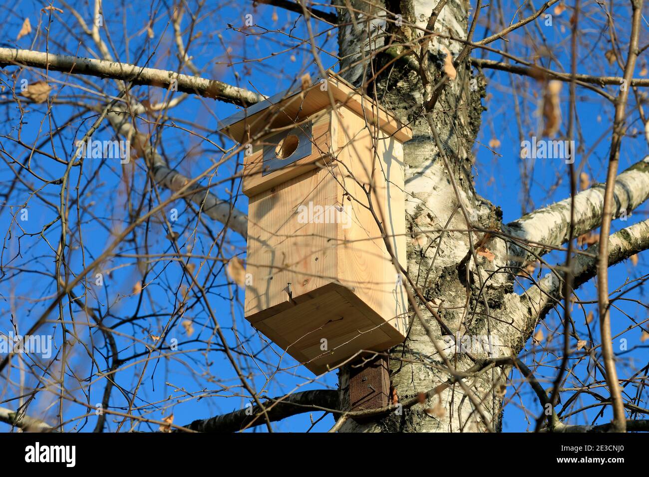 Une nouvelle maison d'oiseaux en bois a été fixée sur un tronc de bouleau et attend son résident. Ceci peut être vu dans un parc public sur le logement de Goclaw Banque D'Images
