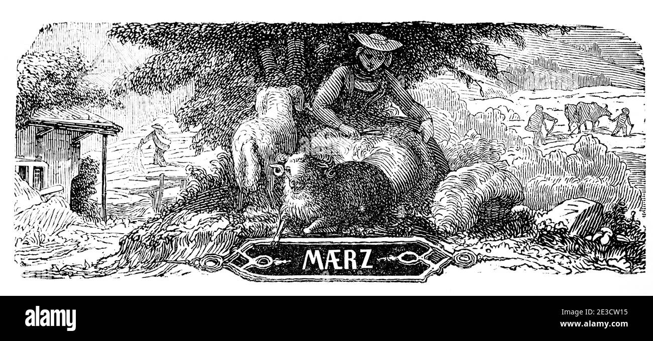 Tonte de moutons en mars, calendrier suisse illustré de 1853 avec les mois de l'année et les motifs correspondants, Saint-Gall Suisse 1853 Banque D'Images