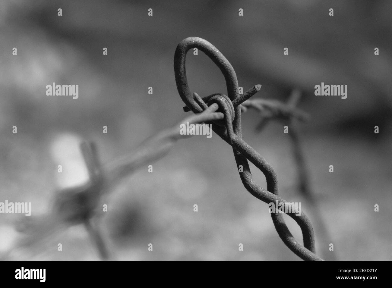 gros plan de deux fils de clôture barbelés parallèles noir et blanc Banque D'Images