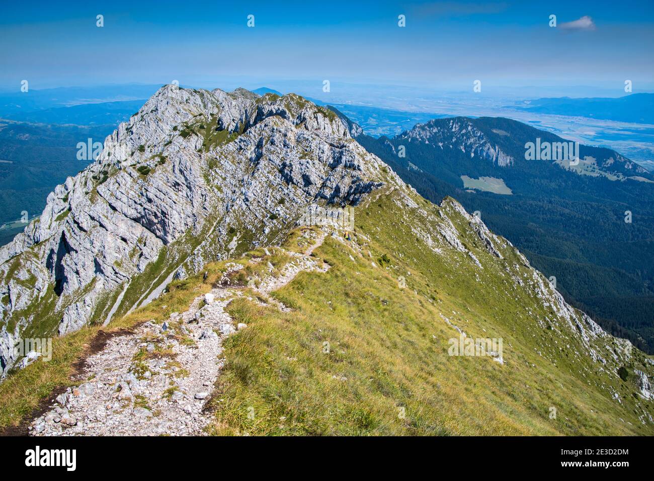 Sentier à pied sur la crête de montagne d'été , massif de Piatra Craiului en Roumanie, sommets rocheux Banque D'Images