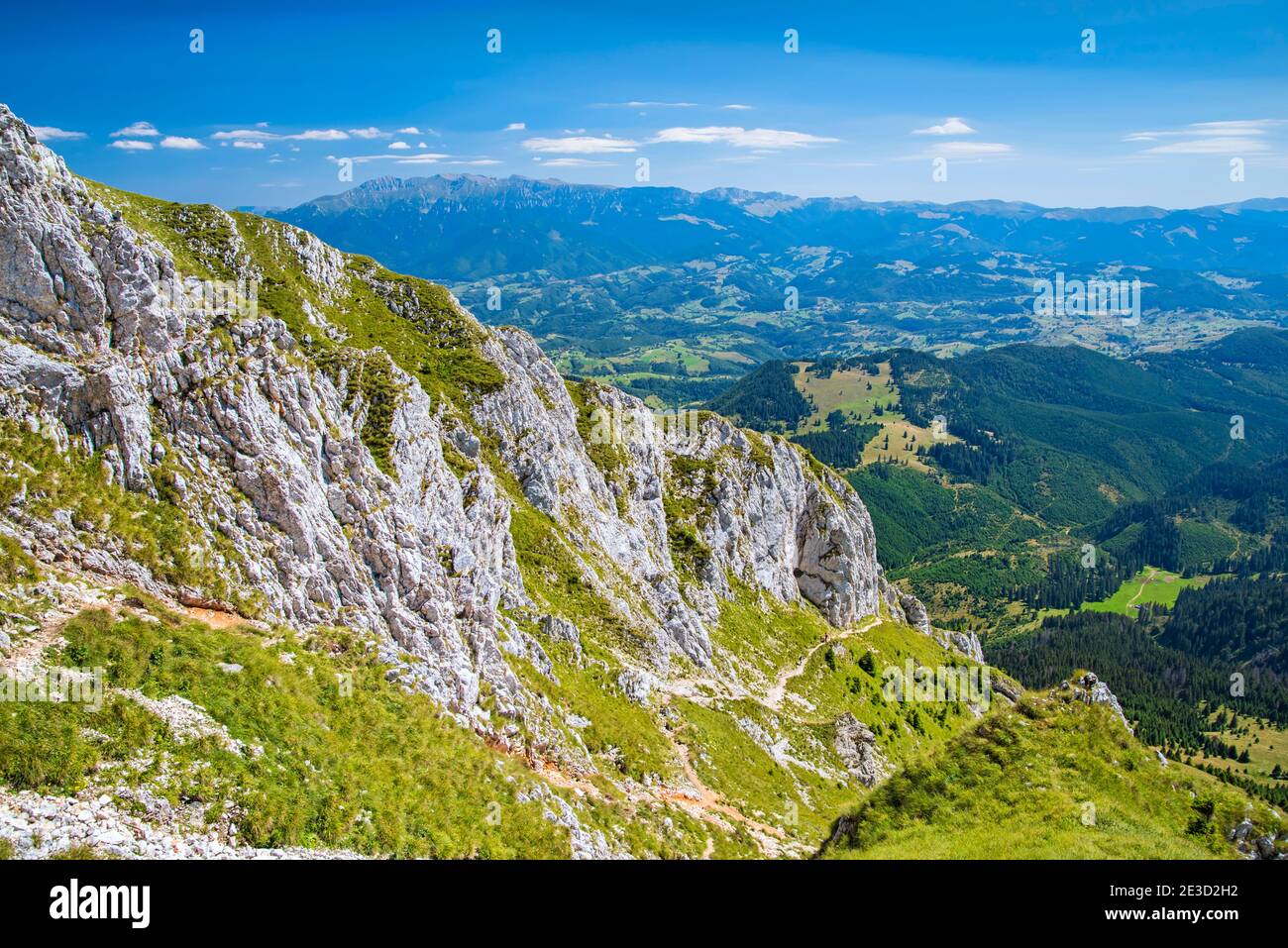 Paysage d'été dans le massif de Piatra Craiului, scène verte dans la région de montagne Banque D'Images