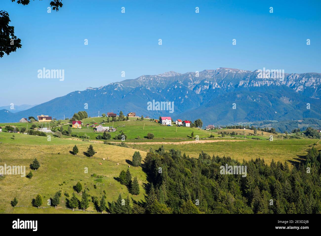 Paysage rural d'été et montagne rocheuse derrière dans les Carpates roumains Banque D'Images