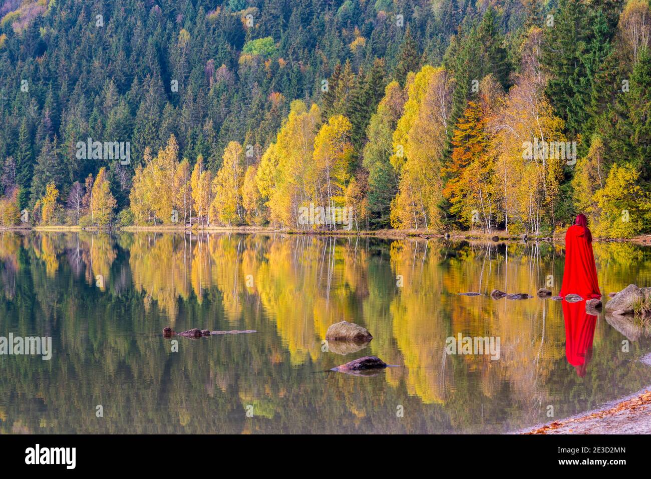 Dame rouge et arbres d'automne se reflétant dans le lac d'eau. Le lac Sainte Anne est le seul lac de cratère de Roumanie, situé dans le cratère volcanique de Ciomatu M. Banque D'Images