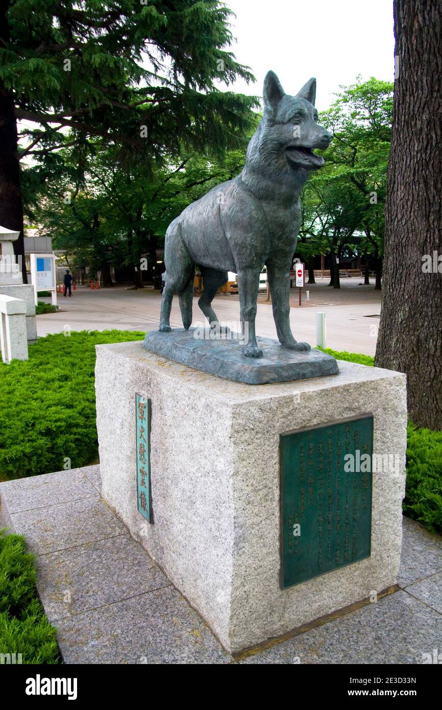 Sanctuaire de Yasukuni : statue du Berger allemand en hommage aux animaux tués dans les services de guerre..... Le sanctuaire de Yasukuni, à l'origine appelé Tokyo Shokonsha a été construit Banque D'Images