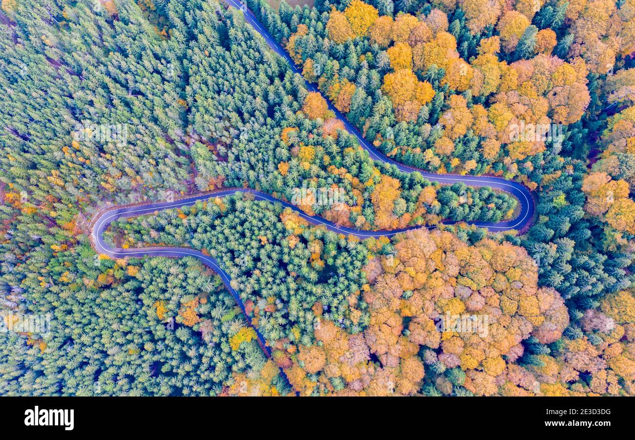 Belle route sinueuse dans la forêt d'automne vue d'en haut. Banque D'Images