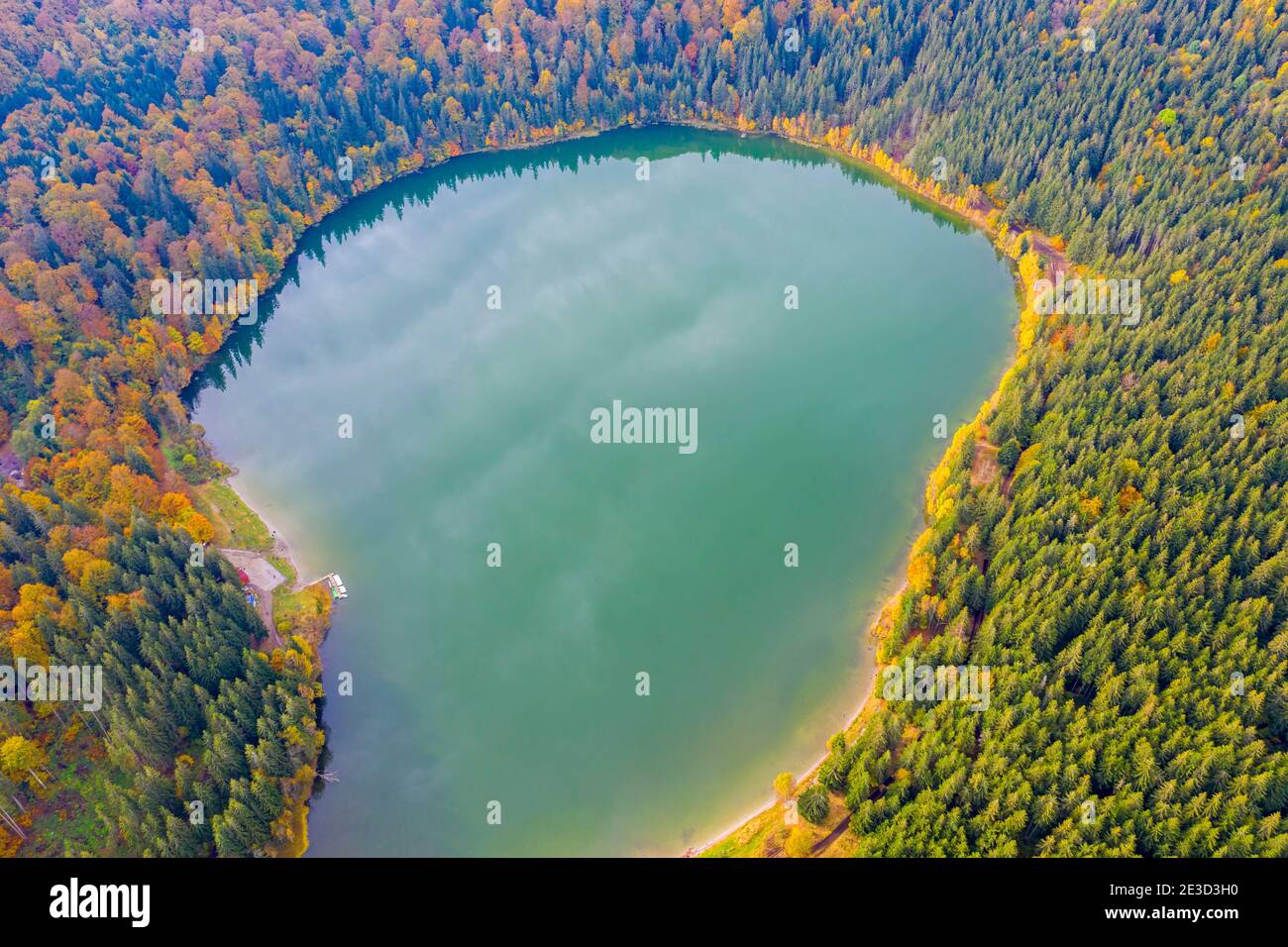 Vue sur le lac de montagne d'automne dans les Carpates roumains. Le lac Sainte Anne est le seul lac de cratère de Roumanie, situé dans le cratère volcanique de C Banque D'Images
