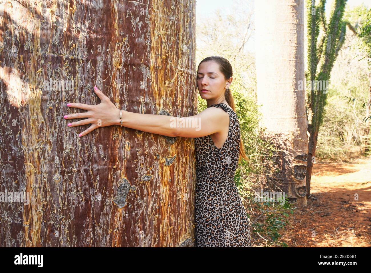 Une jeune femme se propageant les bras autour d'un énorme tronc d'arbre de baobab, l'embrassant, les yeux fermés Banque D'Images