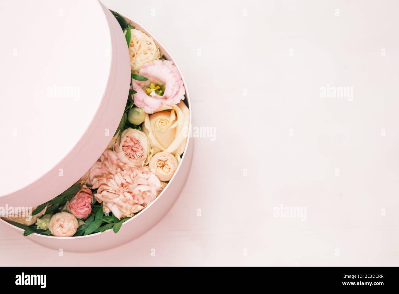 Une fleur élégante et délicate dans une boîte ronde à chapeau sur fond rose avec espace de copie. Boîte cadeau pour le 8 mars, Journée internationale de la femme Banque D'Images