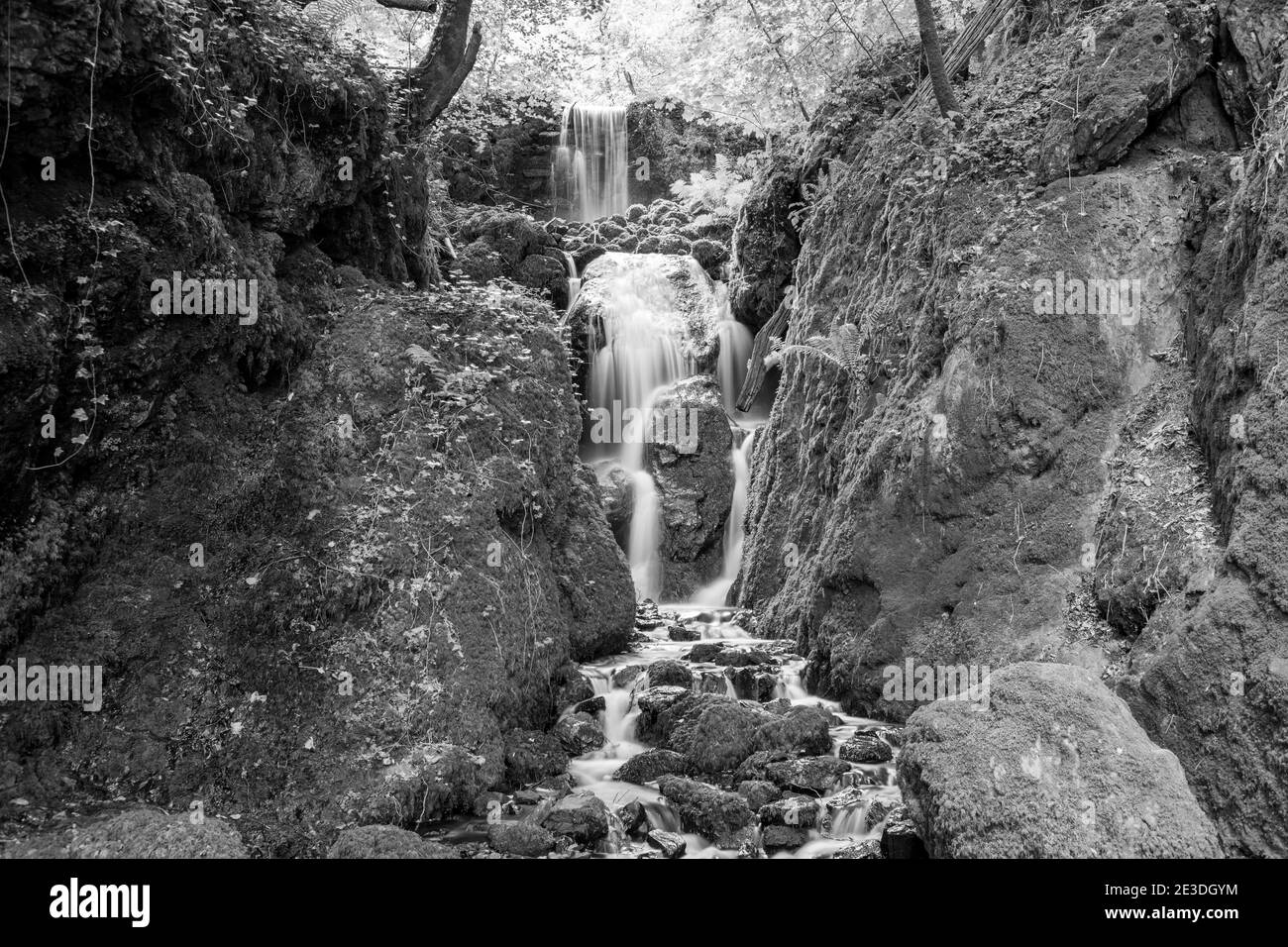 Longue exposition chute d'eau de Clampitt Falls aux chutes Canonteign de Dartmoor Banque D'Images