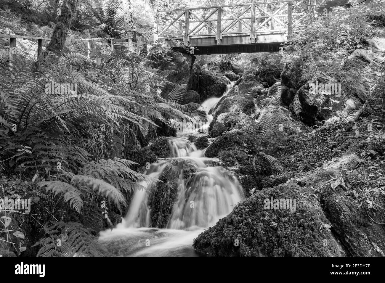 Longue exposition d'une cascade qui coule sous un pont à Chutes Canonteign à Dartmoor Banque D'Images