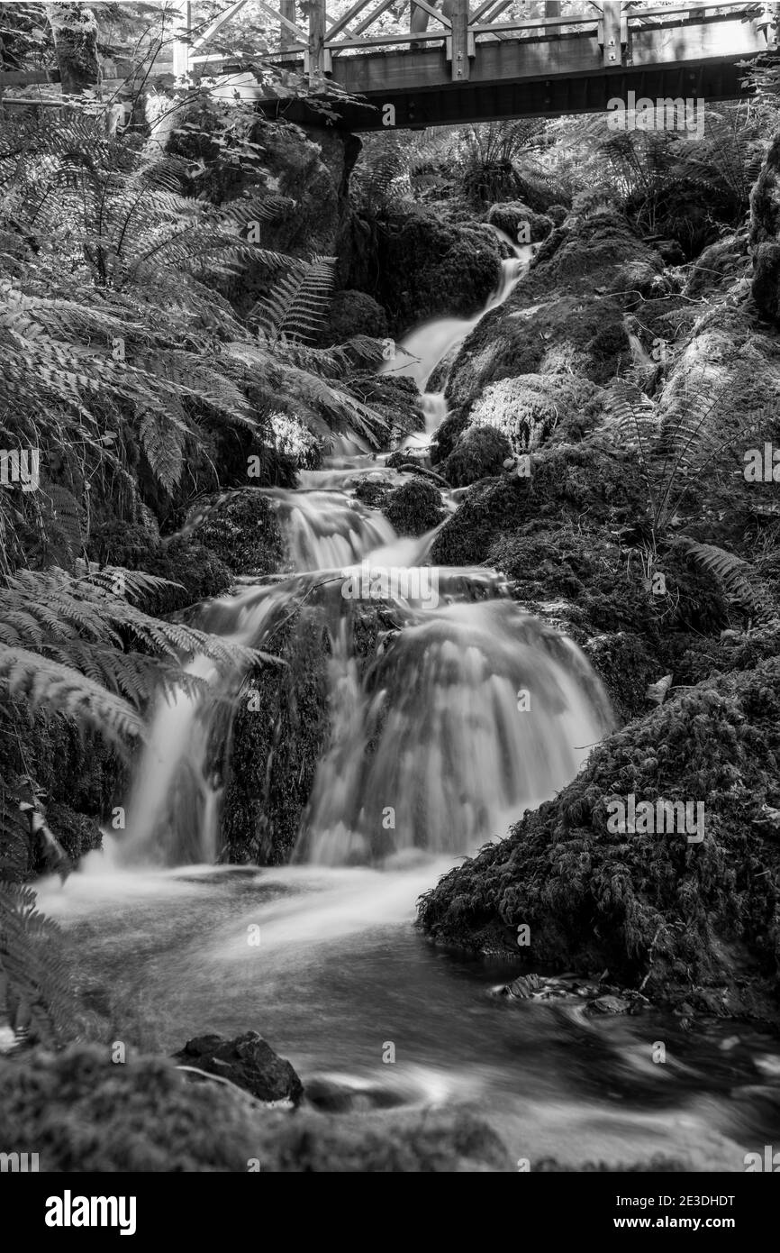 Longue exposition d'une cascade qui coule sous un pont à Chutes Canonteign à Dartmoor Banque D'Images