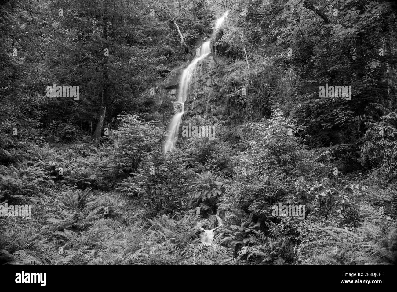 Longue exposition de la cascade qui coule au-dessus de la falaise à Chutes Canonteign à Dartmoor Banque D'Images