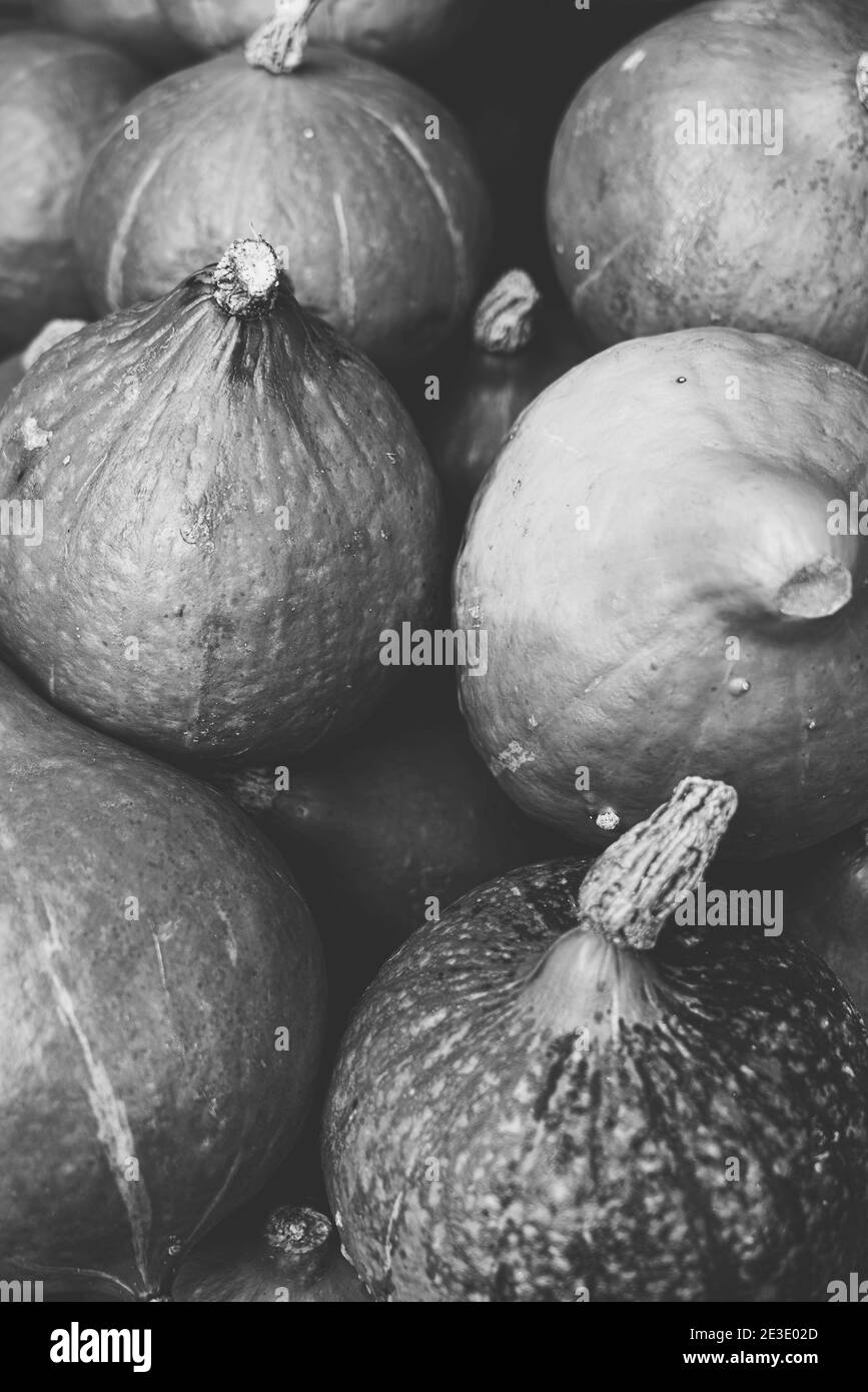 photo noir et blanc vintage de quelques citrouilles Banque D'Images
