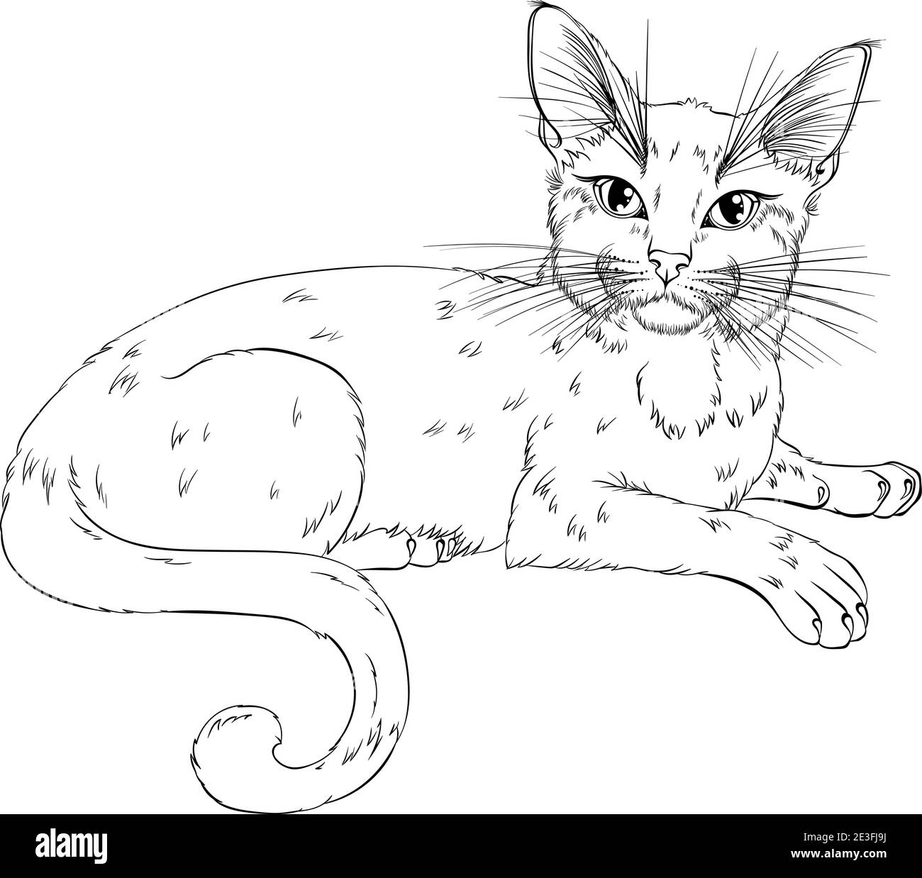 Chat allongé regardant vers l'avant. Illustration vectorielle de dessin au trait adaptée à la page de livre de coloriage. Impression manuelle style de dessin isolé sur fond blanc. Chat doux avec un style simple. Illustration de Vecteur