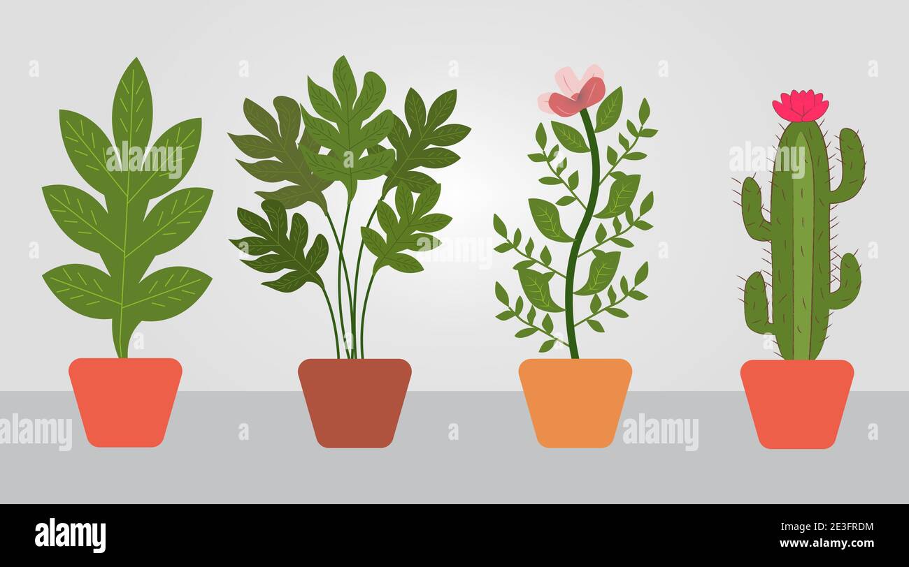 Plantes en pot dessinées à la main Illustration de Vecteur