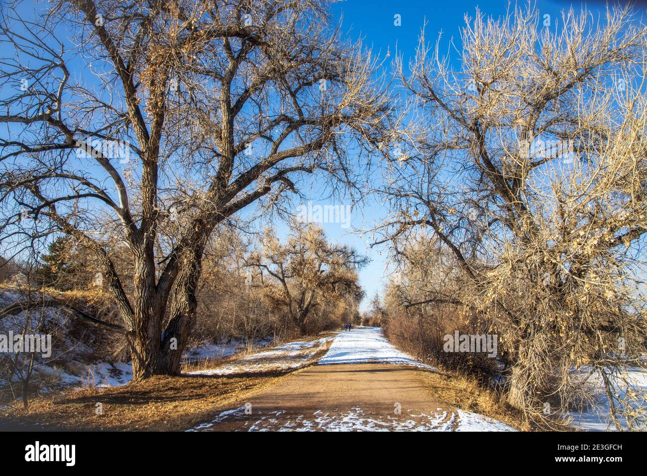 Paysage d'hiver dans le parc deKoevend le long du canal High Line dans le village de Greenwood, Colorado Banque D'Images