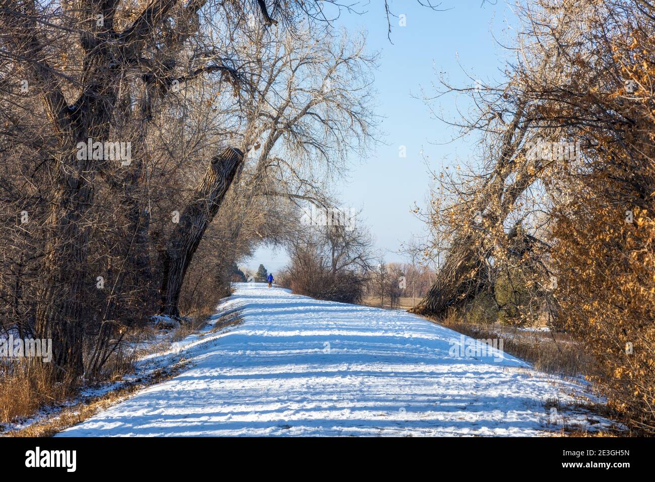 Paysage d'hiver dans le parc deKoevend le long du canal High Line dans le village de Greenwood, Colorado Banque D'Images