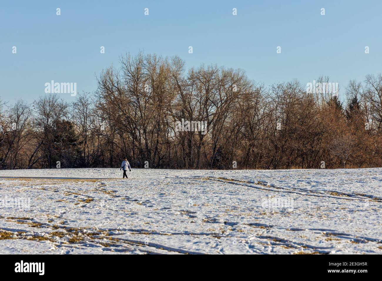 Paysage d'hiver dans le parc deKoevend le long du canal High Line dans le village de Greenwood, Colorado Banque D'Images