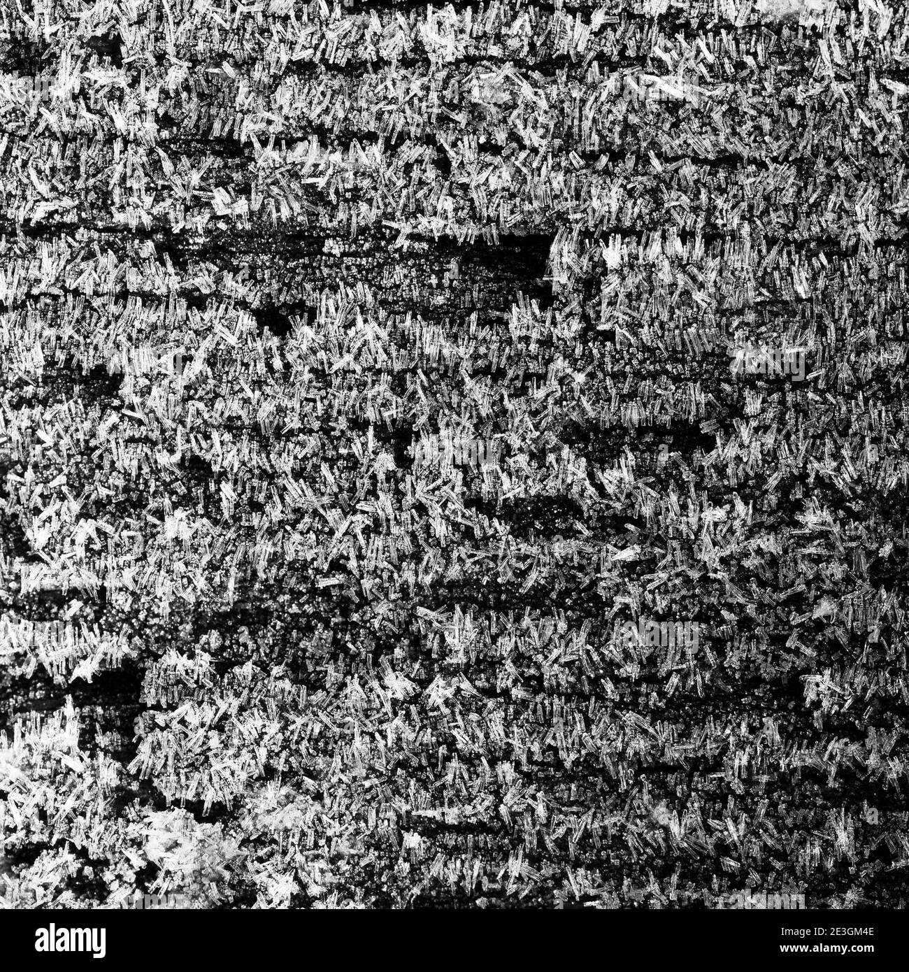 Cristaux de neige givrée sur une surface en bois de près. Fond de texture de motif décoratif noir et blanc Banque D'Images