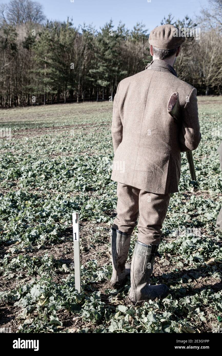 Un homme dans la campagne rurale de l'Oxfordshire tenant un fusil de chasse pendant une séance de tir faisan. Banque D'Images